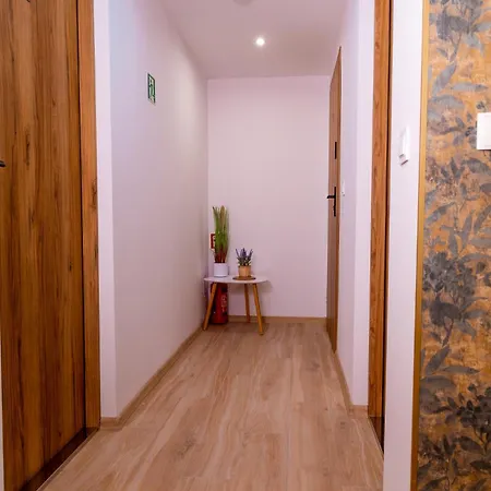 Dusznickie Julia 아파트 두슈니키 즈드로지