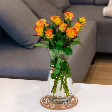 Dusznickie Julia * 두슈니키 즈드로지