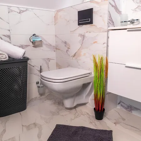 아파트 Dusznickie Julia 두슈니키 즈드로지