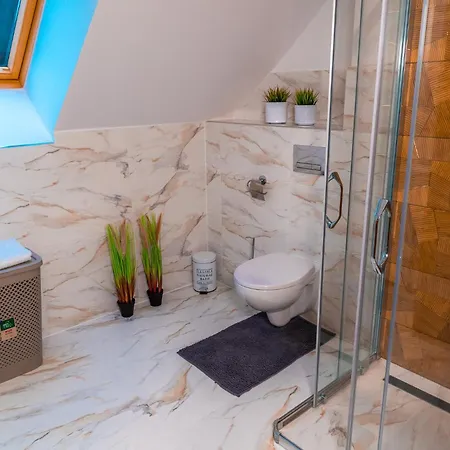 아파트 Dusznickie Julia 두슈니키 즈드로지