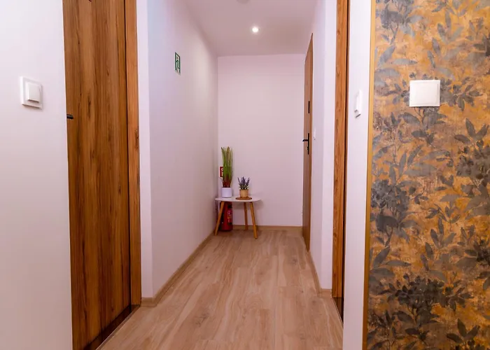 Dusznickie Julia アパート ドゥシュニキ・ズドルイ