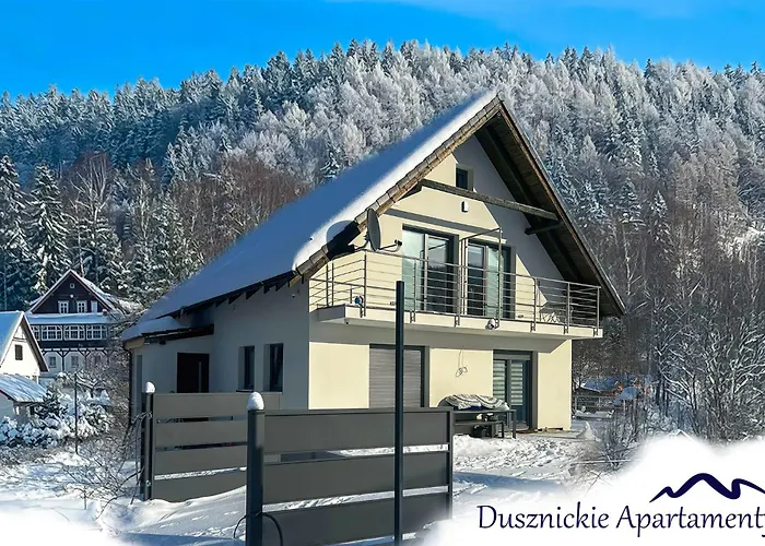 アパート Dusznickie Julia ドゥシュニキ・ズドルイ