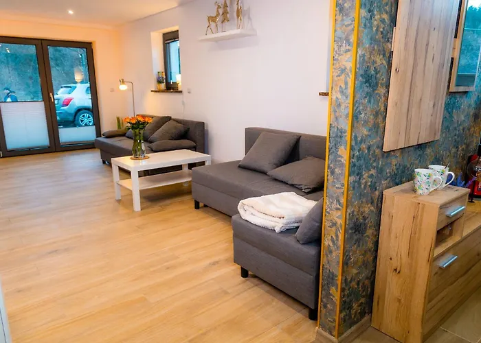 Dusznickie Julia アパート ドゥシュニキ・ズドルイ