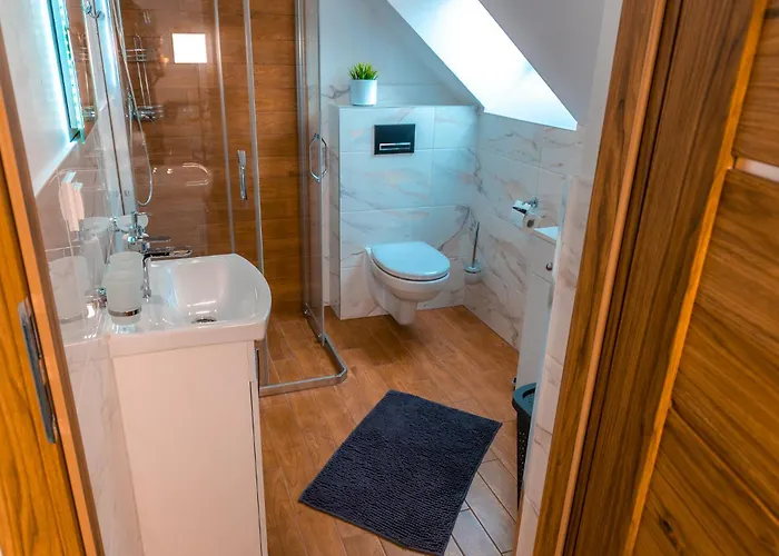 アパート Dusznickie Julia ドゥシュニキ・ズドルイ