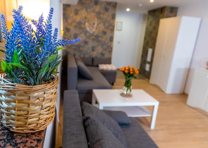 アパート Dusznickie Julia ドゥシュニキ・ズドルイ