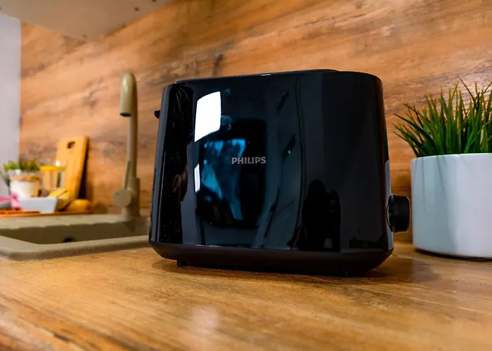 アパート Dusznickie Julia ドゥシュニキ・ズドルイ