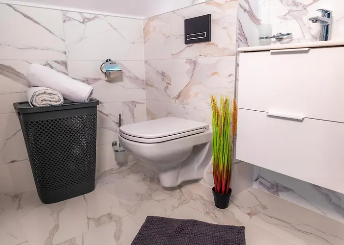 アパート Dusznickie Julia ドゥシュニキ・ズドルイ