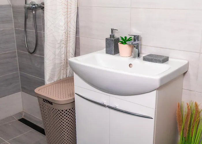 Dusznickie Julia アパート ドゥシュニキ・ズドルイ