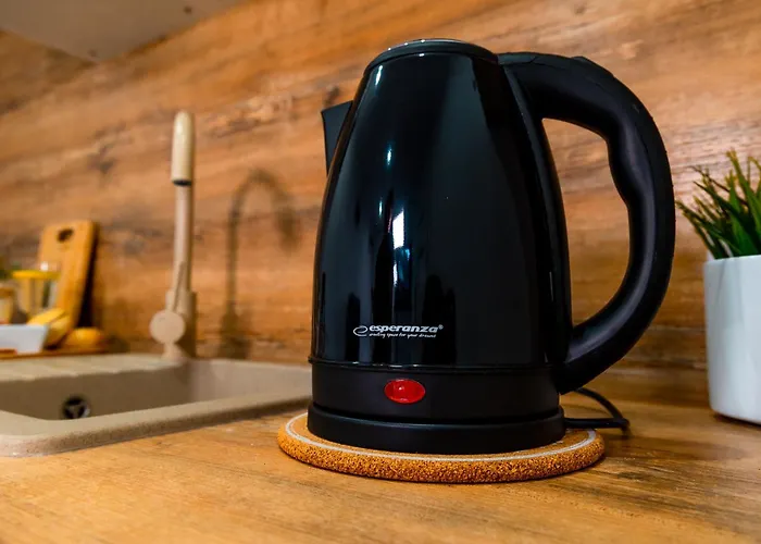 アパート Dusznickie Julia ドゥシュニキ・ズドルイ