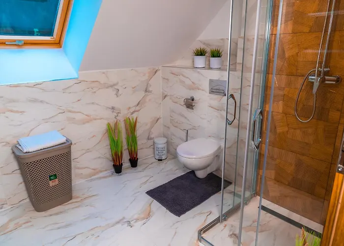 アパート Dusznickie Julia ドゥシュニキ・ズドルイ